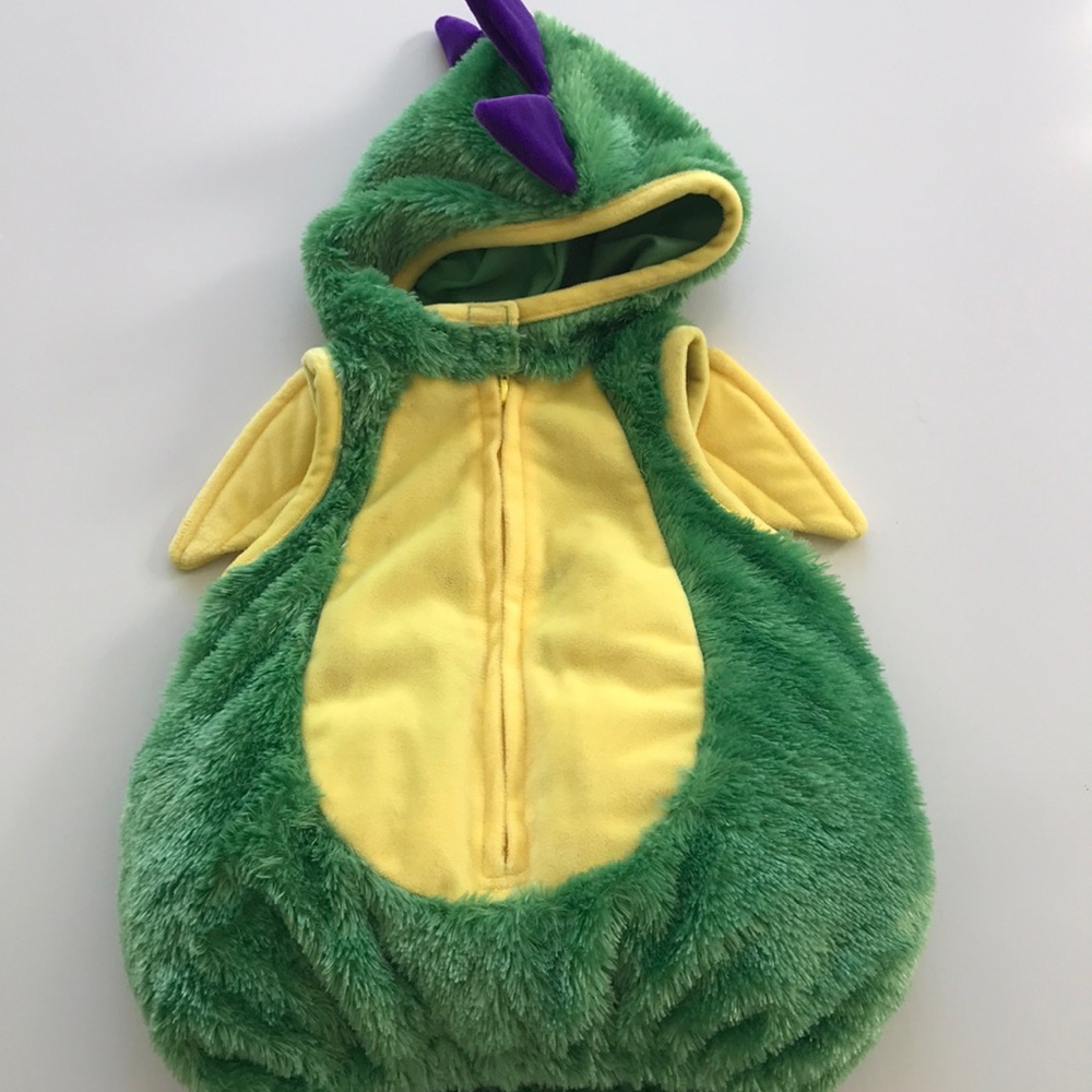 Dragon Costume 12 month EUC